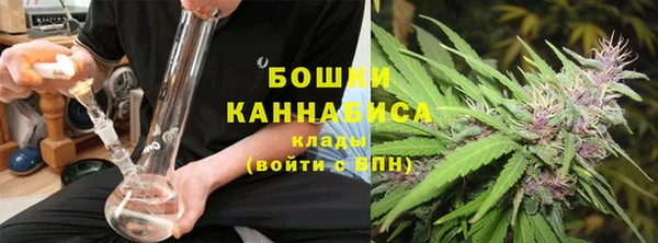 молекула духа Михайлов