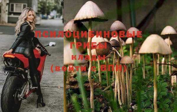 бошки Михайловск