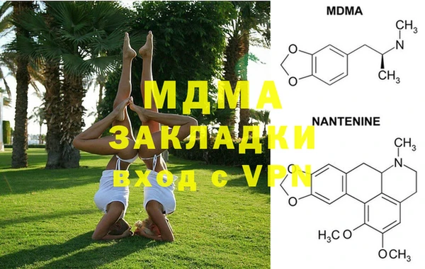 молекула духа Михайлов