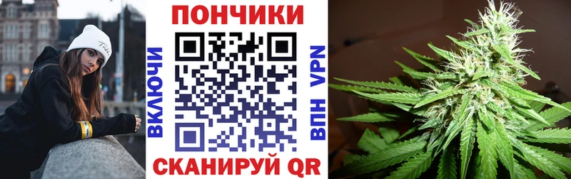 Бошки марихуана SATIVA & INDICA  магазин  наркотиков  Петушки 